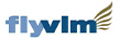 VLM Trading as Cityjet 航空 ロゴ